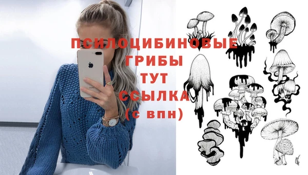 бутират Балахна