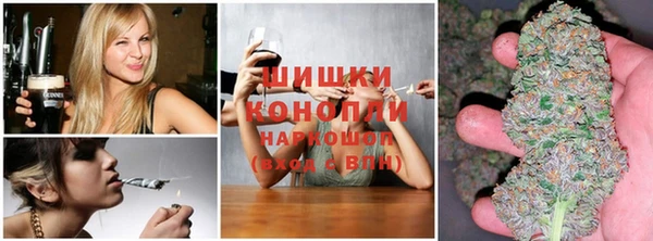 СК Няндома