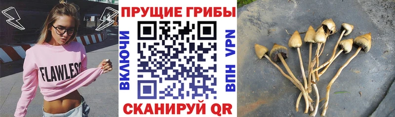 Галлюциногенные грибы ЛСД  кракен вход  Чернушка 